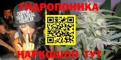 дурь Донской