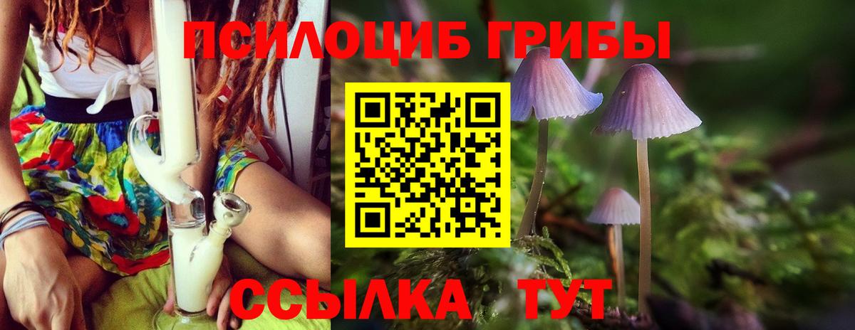 Псилоцибиновые грибы мухоморы Ликино-Дулёво